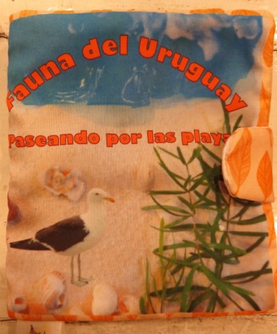 FAUNAL-URUGUAY-PASEANDO-PORS-PLAYAS-104