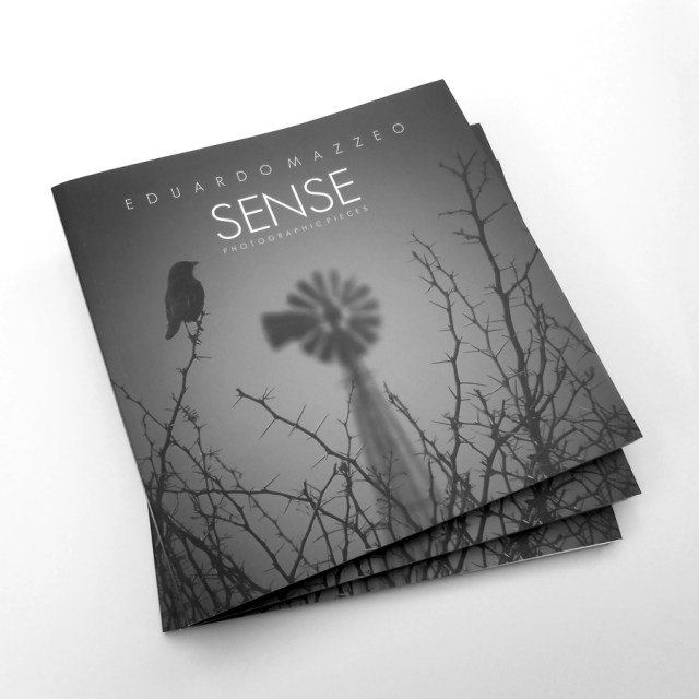 Sense-Photographic-pieces-847