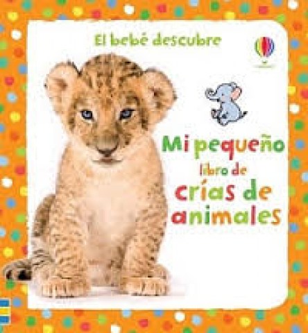 BEBeSCUBRE-CRIAS-ANIMALES-9781409544265