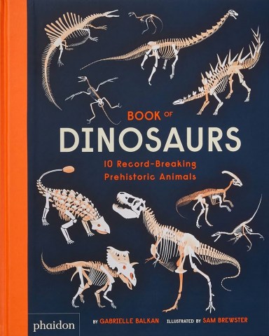 BOOK-OF-DINOSAURS-9781838664251