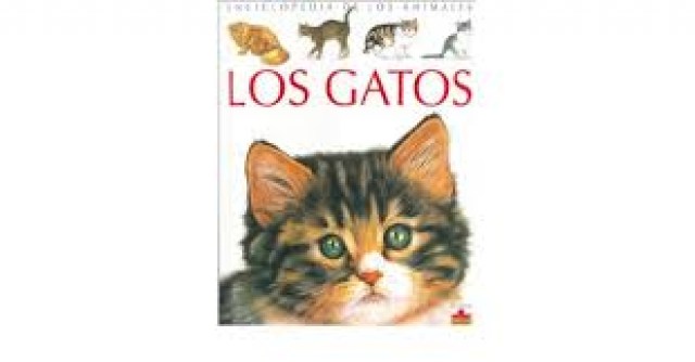 Los-Gatos-9782215063773