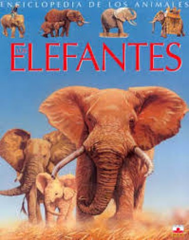 ELEFANTES,-NCICLOPEDIA-ANIMALES-9782215096856