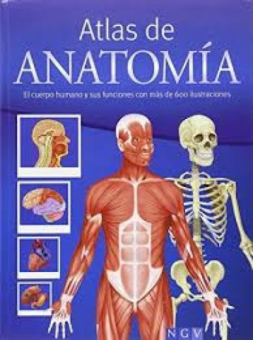 ATLAS-ANATOMiA-9783625006110