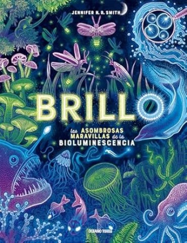 Brillo-9786075579313