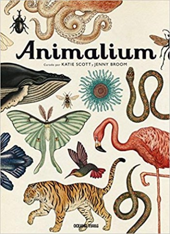 Animalium-9786077357223