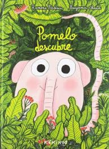 Pomeloscubre-9788417074531