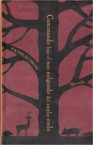 Caminando-bajol-mar,-colgandol-amplio-cielo-9788417151355
