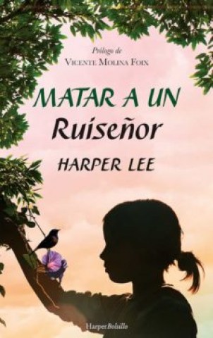 Matar-ruiseñor-9788417216948
