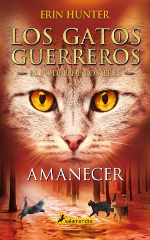 Gatos-guerreros,l-poder-loes-tres-Amanecer-6-9788418174056