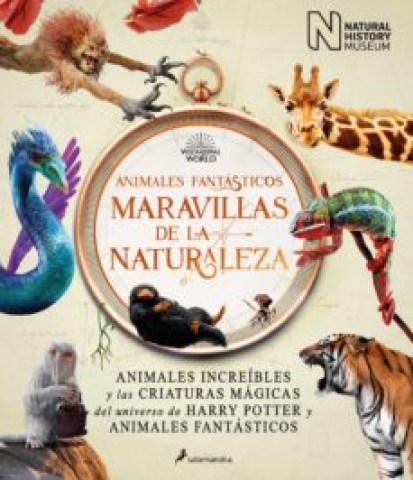 animales-fantasticos-maravillas-naturaleza-9788418637056