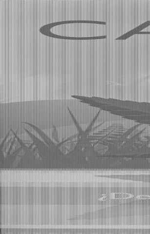 CANNABIS-FILOSOFiA-PARA-TODOS-9788493495084