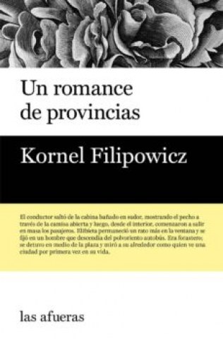 Un-romance-provincias-9788494733710