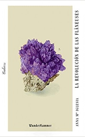 Revolucions-Flâneuses-9788494972539