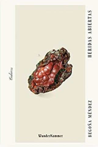 Heridas-abiertas-9788494972591