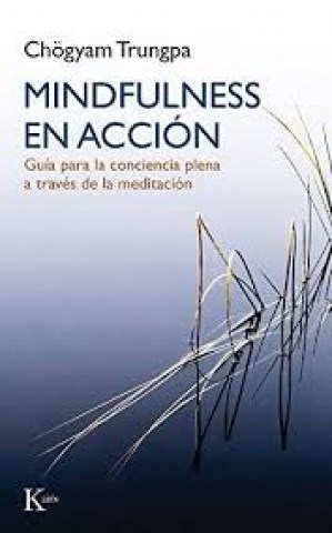 MINDFULNESSN-ACCIoN-9788499884899