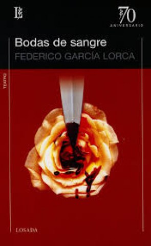 BODAS-SANGRE-9789500397575