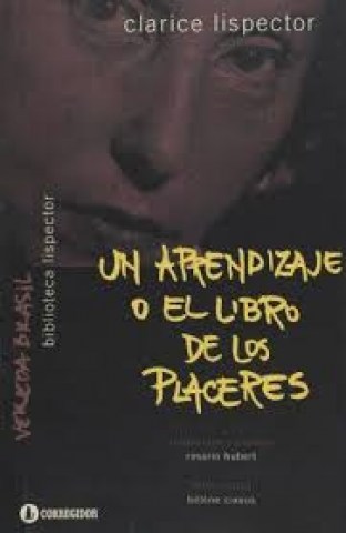 Un-aprendizaje-ol-libro-placeres-9789500519175