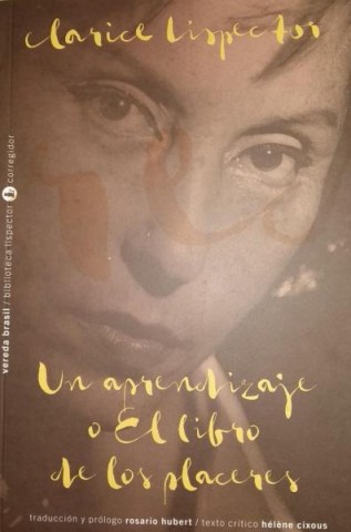 Un-aprendizaje-ol-libro-placeres-9789500532907