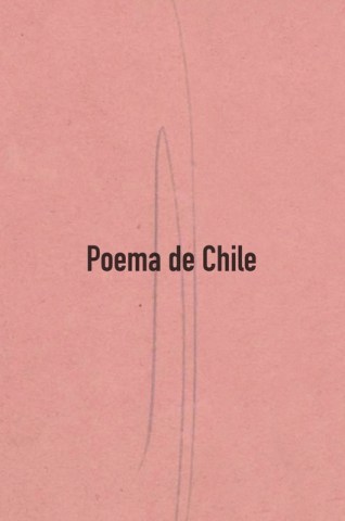 Poema-Chile-9789569203312