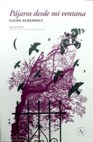 Pajarossde-mi-ventana-9789569974359