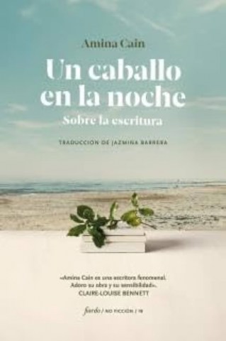 Un-caballon-noche-9789874178947