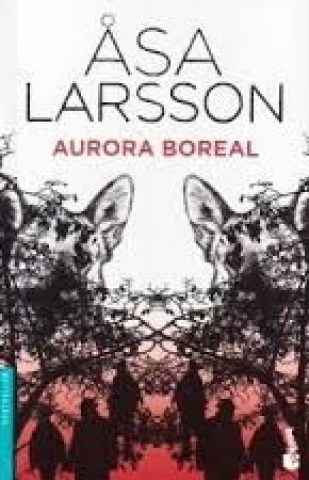 Aurora-boreal-9789875803947