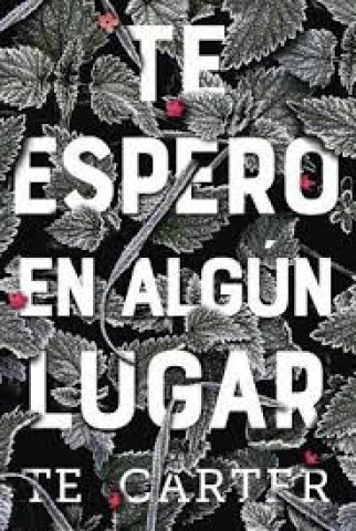 Tesperon-algun-lugar-9789876097246