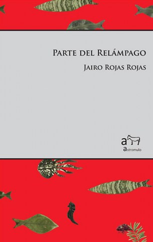 Partel-relampago-9789915931456