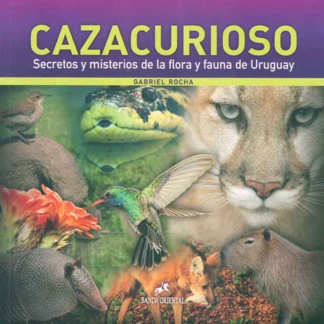 cazacurioso-9789974110212