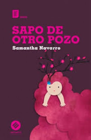 Sapo-otro-pozo-9789974687219