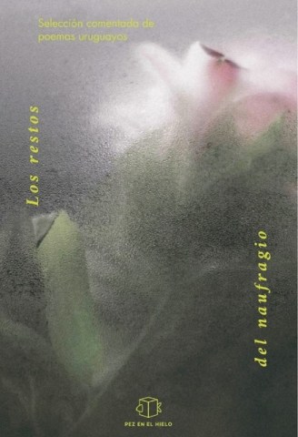 Los-restosl-naufragio-Seleccion-comentada-poemas-uruguayos-9789974838574