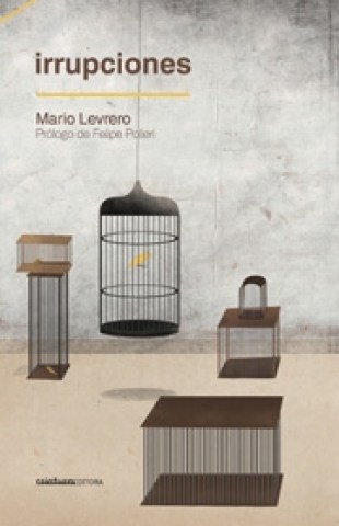 Irrupciones-9789974841918