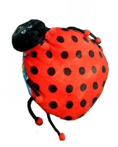 quica-mariquita-9789974846463